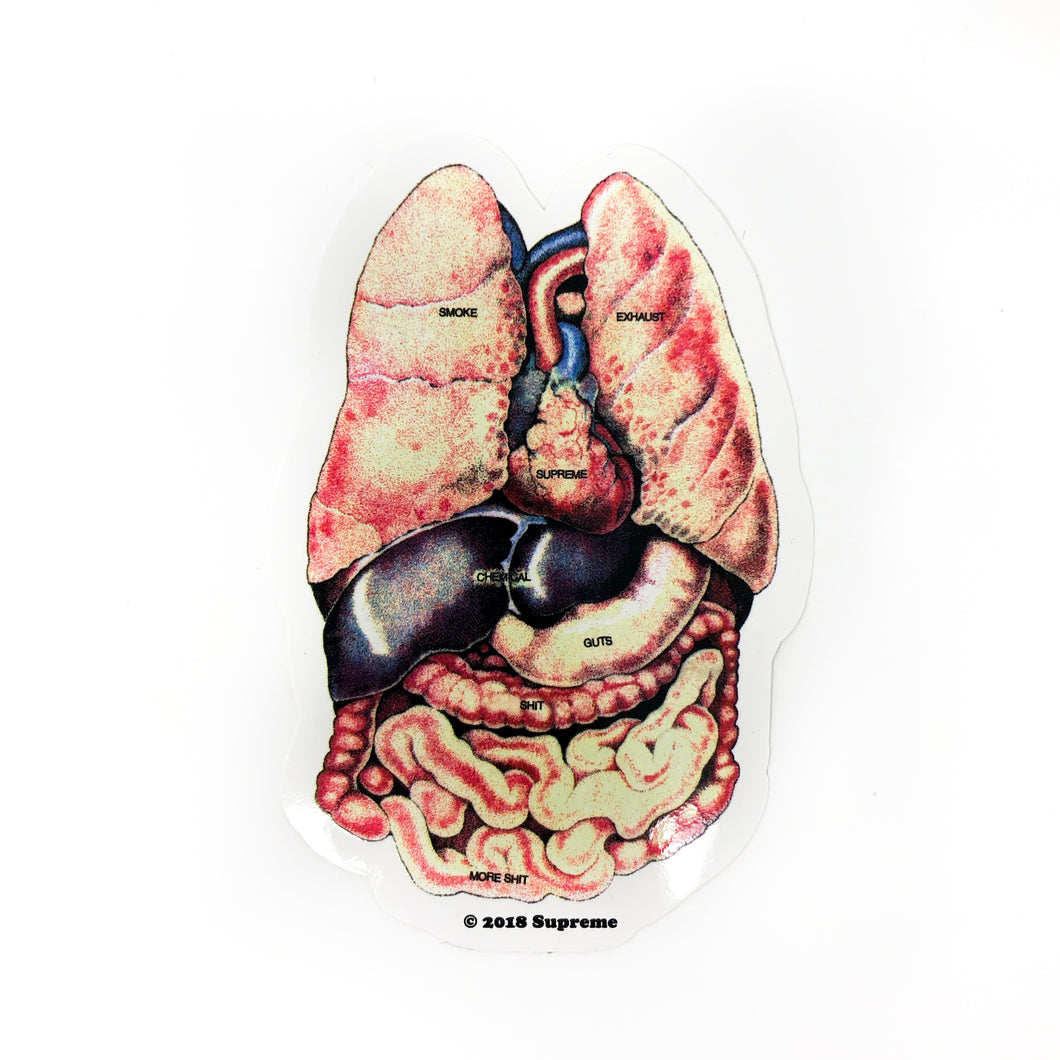 Supreme Guts Organs Lungs Sticker